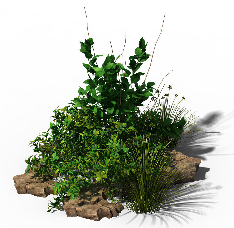 General plant - flowers 39 3D model_1