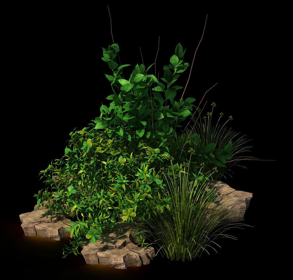 General plant - flowers 39 3D model_4