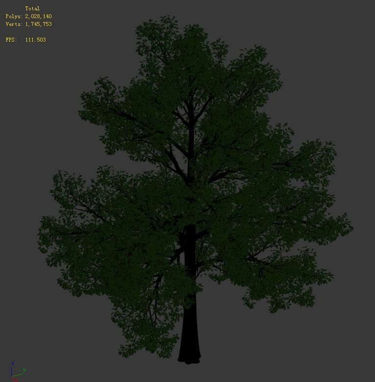 General plant - tree 35 3D model_8