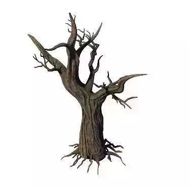 General Plant - Trees 04