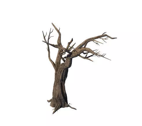 General Plant - Trees 05 3D model