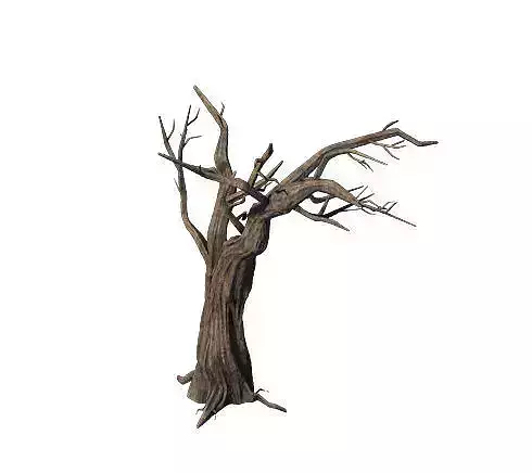 General Plant - Trees 05