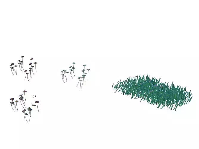 Snow plants - flowers 64