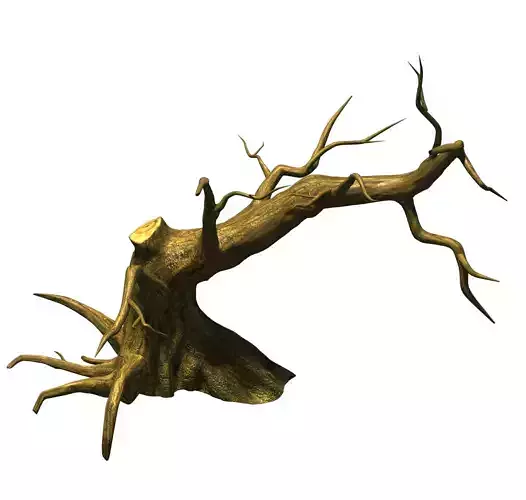 Fairy town - dead tree 4