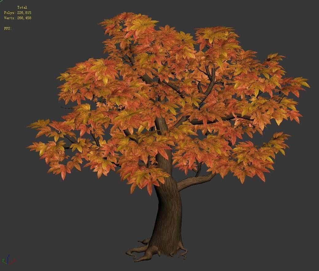 Game Model - Maple 014 3D model_2