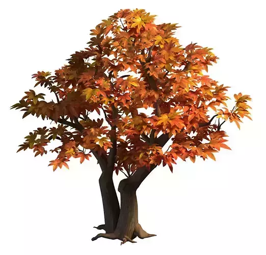 Game Model - Maple 015