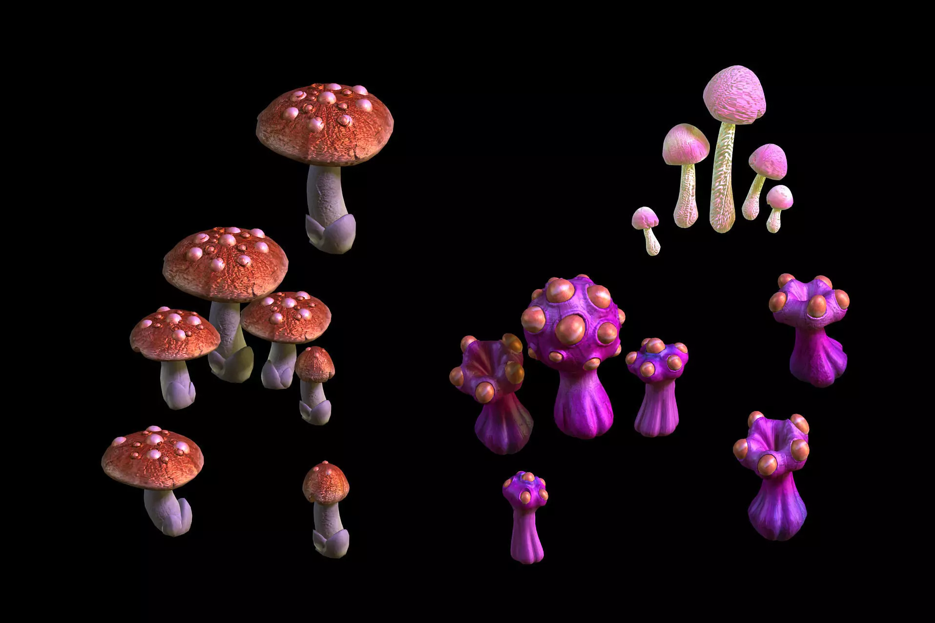 Game - Strange Mushroom Collection 3D model_0