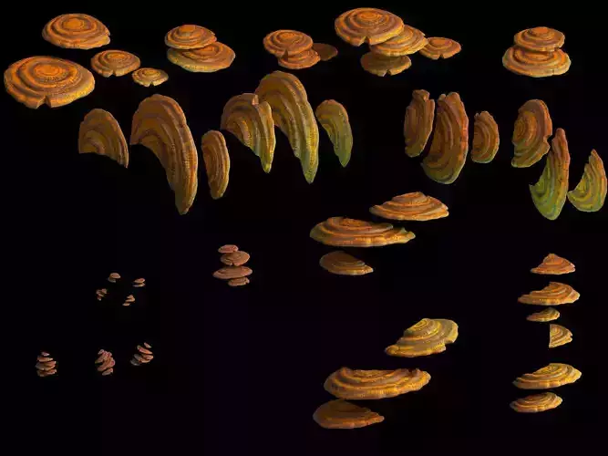 Virgin forest - yellow fungus 01 3D model