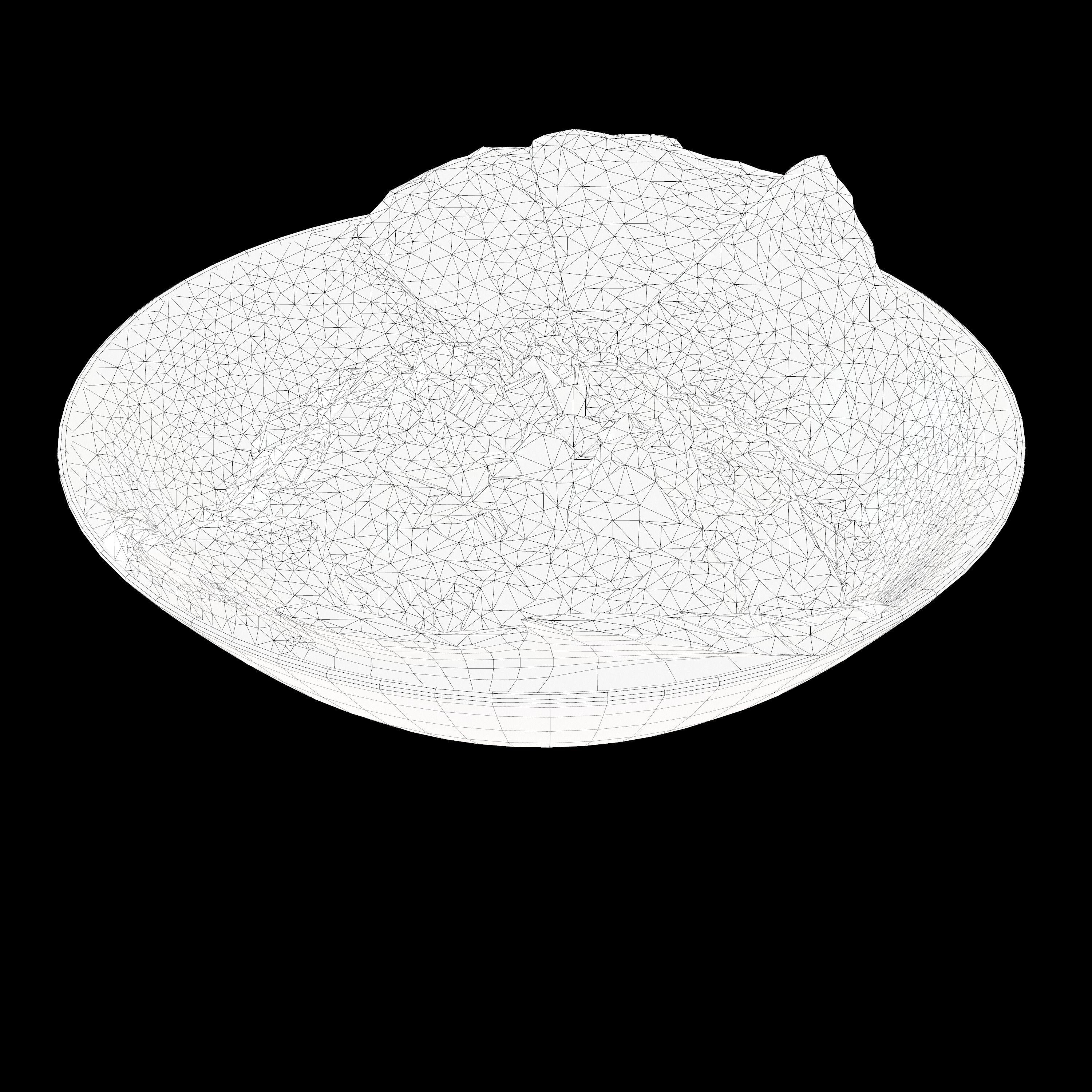 BUTTER CHICKEN RICE BOWL Low-poly 3D model_13