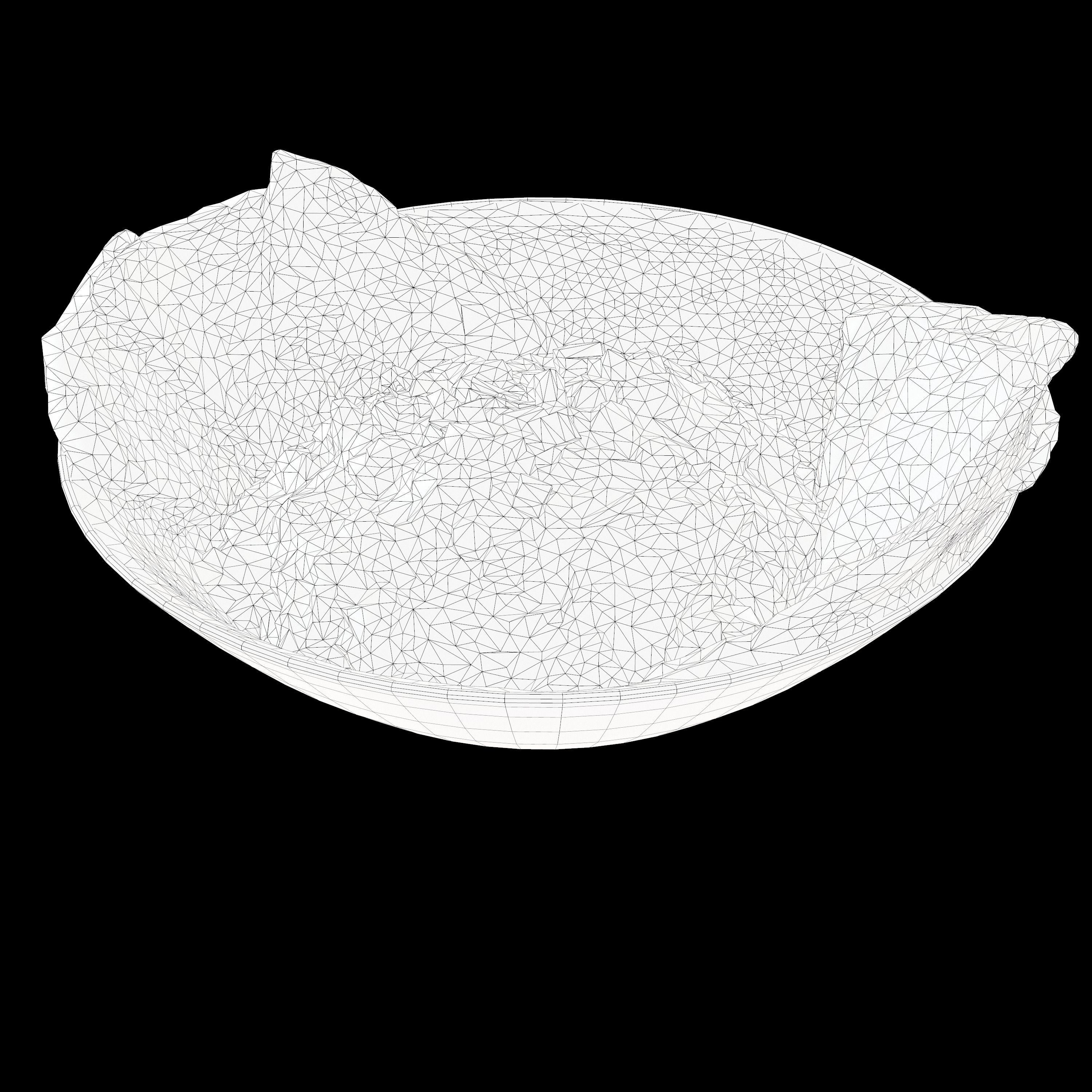 BUTTER CHICKEN RICE BOWL Low-poly 3D model_12