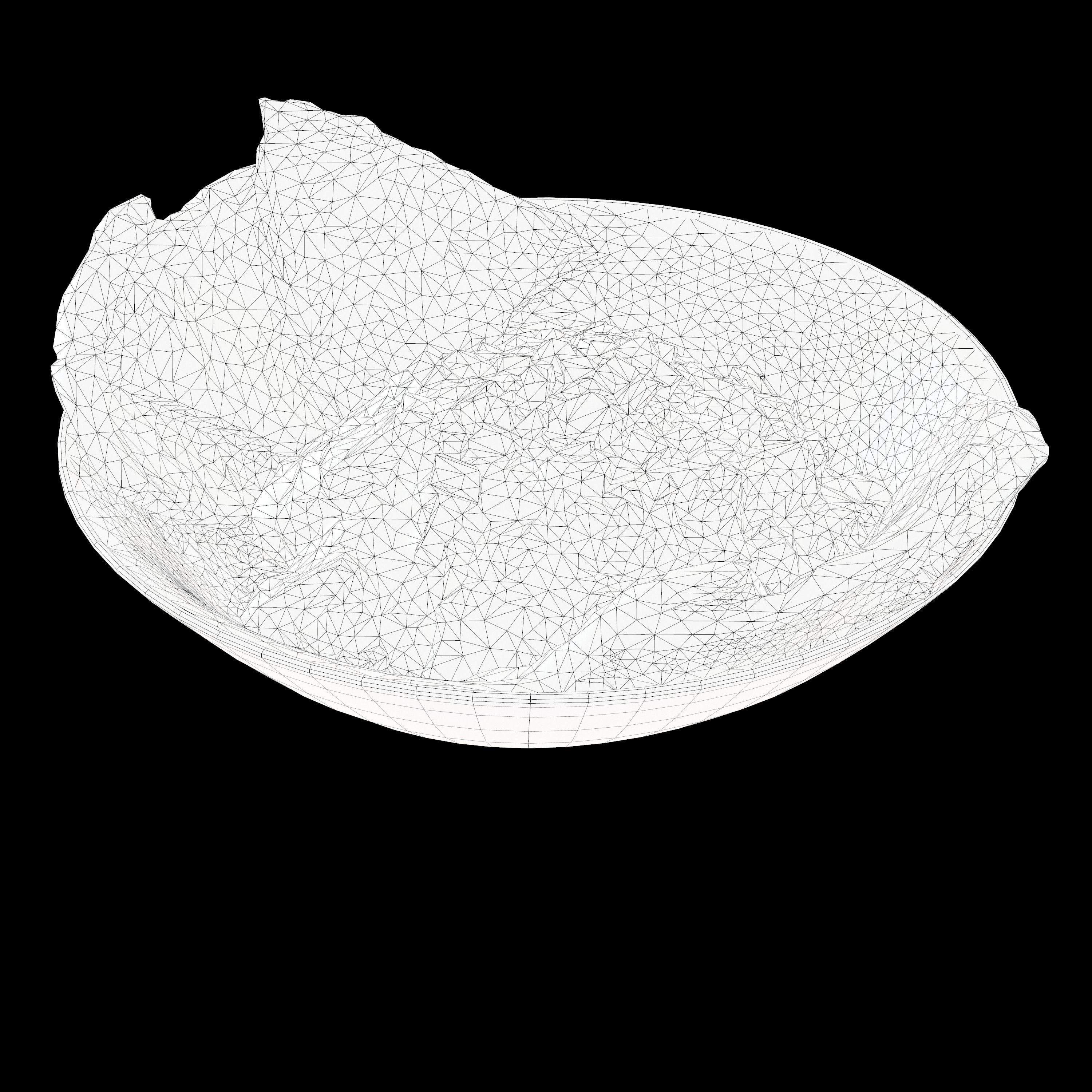 BUTTER CHICKEN RICE BOWL Low-poly 3D model_8