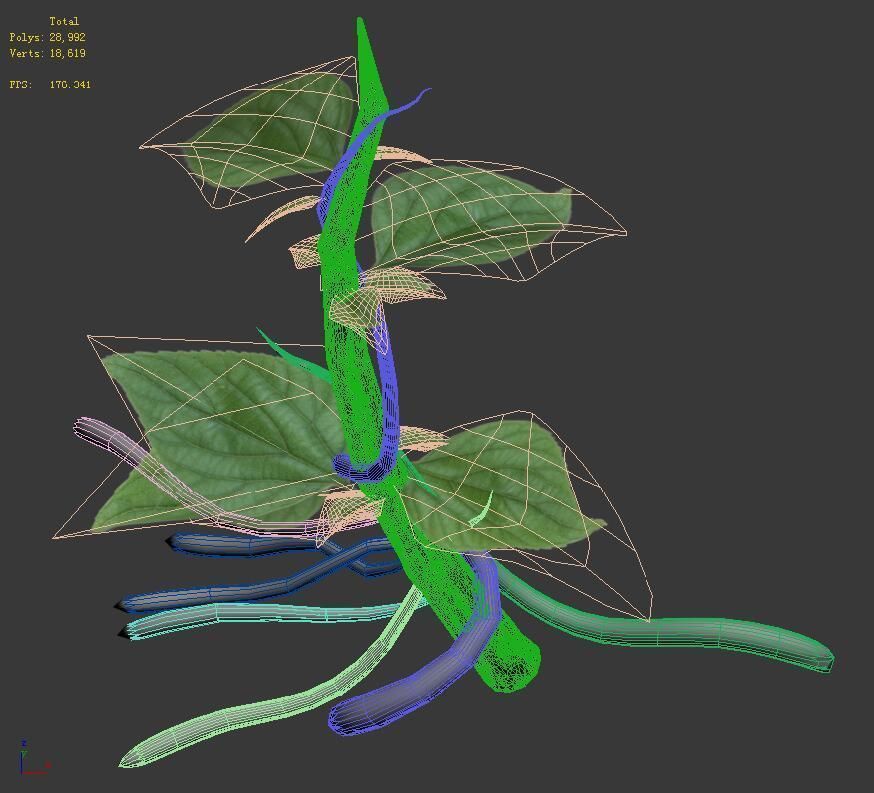 Plant Trees - Vines 01 3D model_4