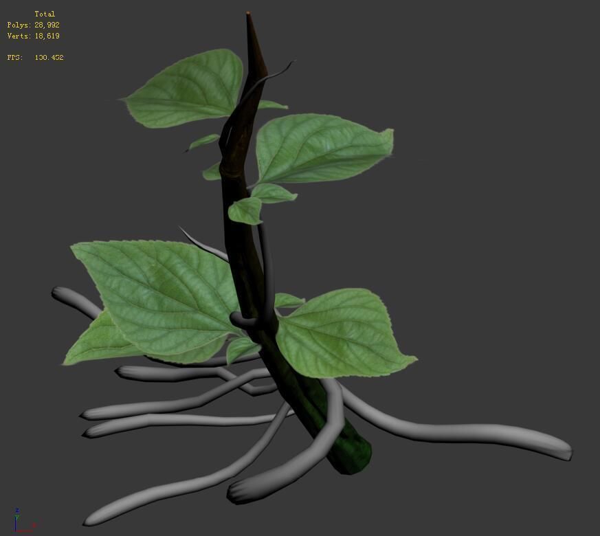 Plant Trees - Vines 01 3D model_3