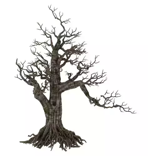 Plant - wind are grass dead tree 06