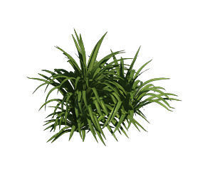 Plant - flowers 32 3D model_5