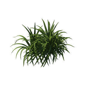 Plant - flowers 32 3D model_1