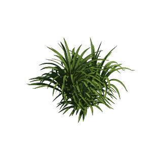 Plant - flowers 32 3D model_4