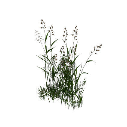 Plant - flowers 33 3D model_7