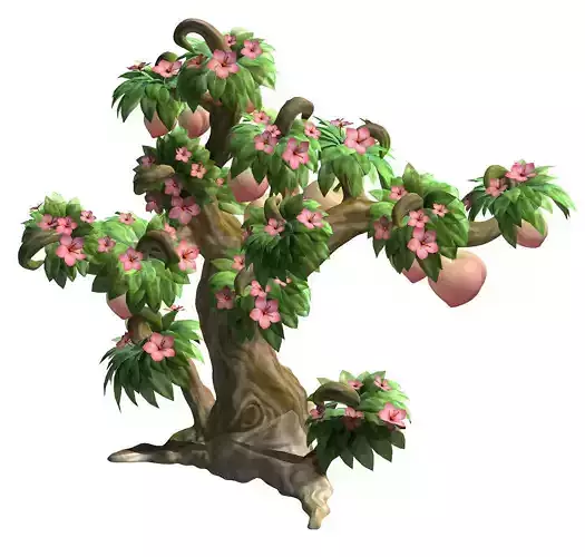 Plant model - peach tree 271