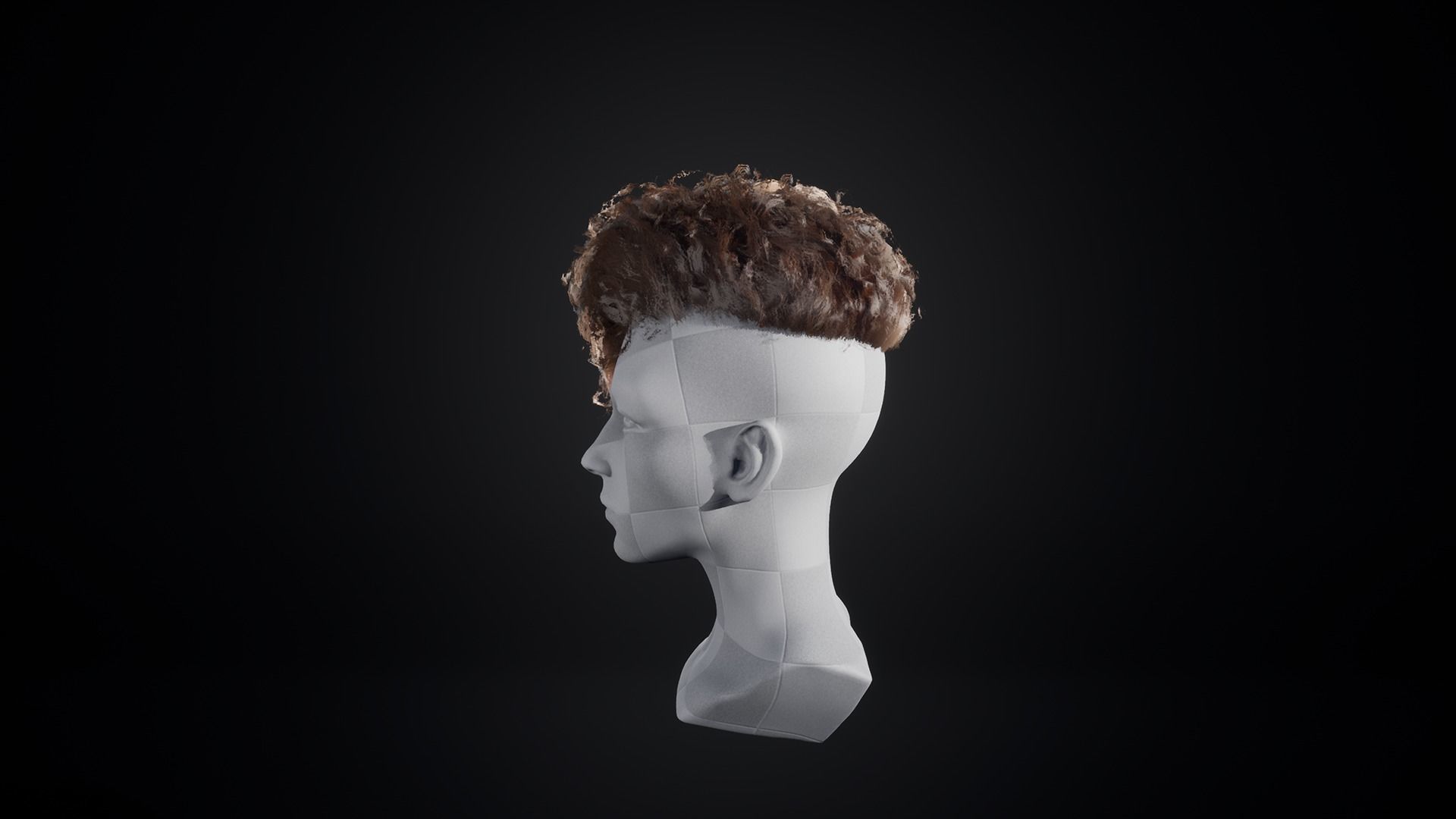 Curly Hair Low-poly 3D model_2