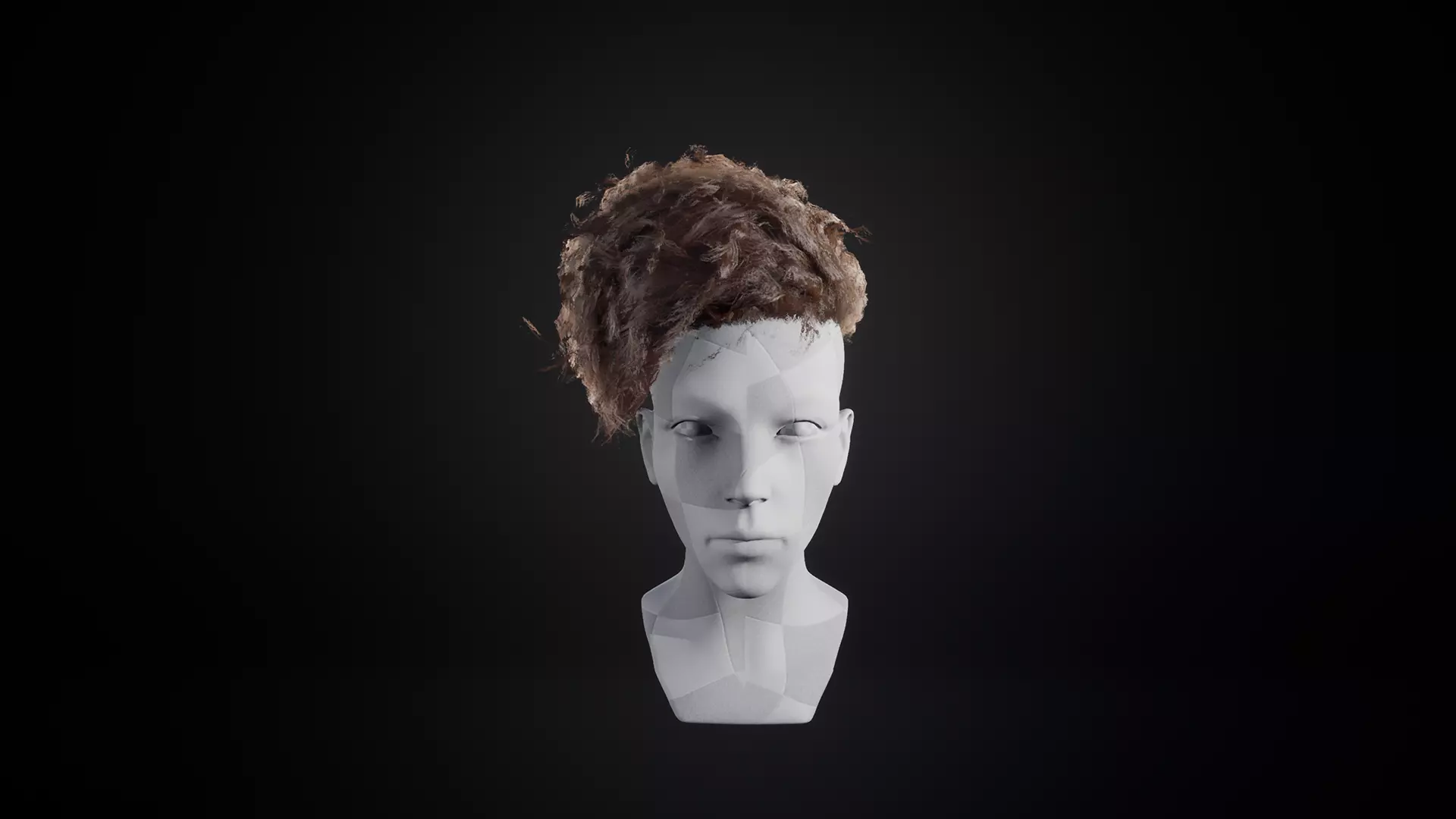Curly Hair Low-poly 3D model_0