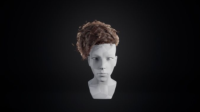 Curly Hair Low-poly 3D model