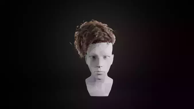 Curly Hair Low-poly 3D model Curly Hair Low-poly 3D model