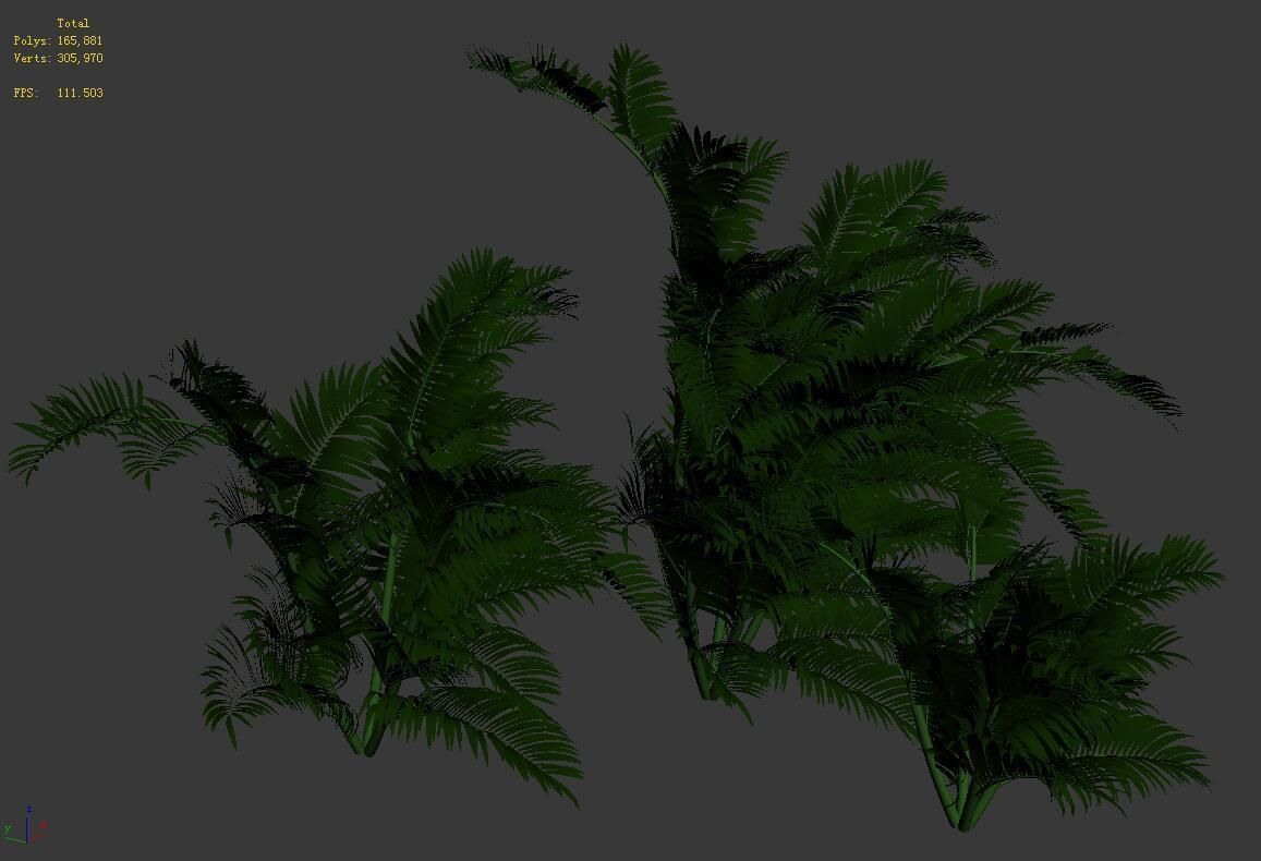 Plant - tropical tree 3D model_8
