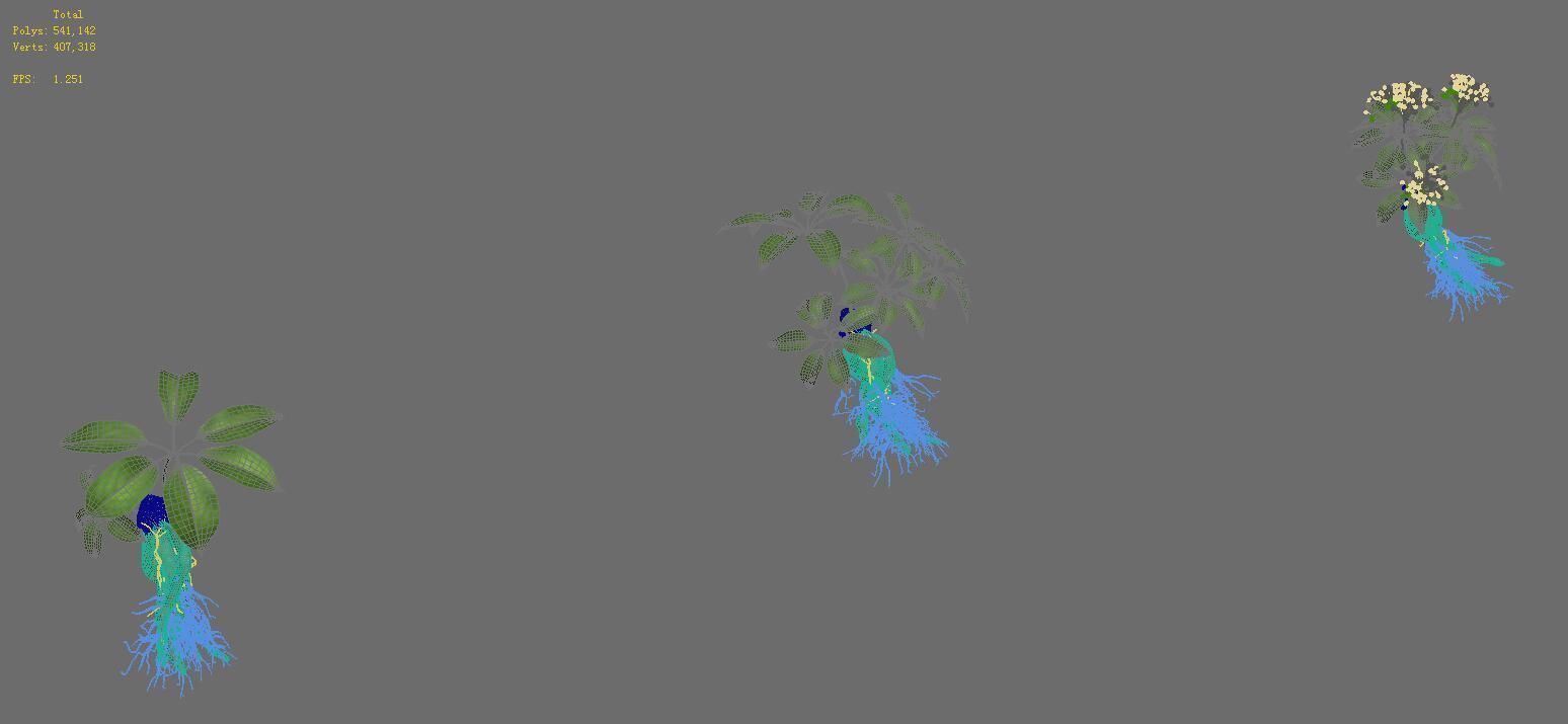 Plant - ginseng 3D model_7