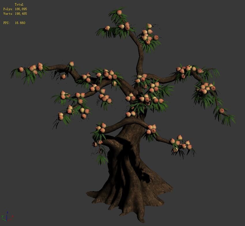 Plant - Peach 033 3D model_2