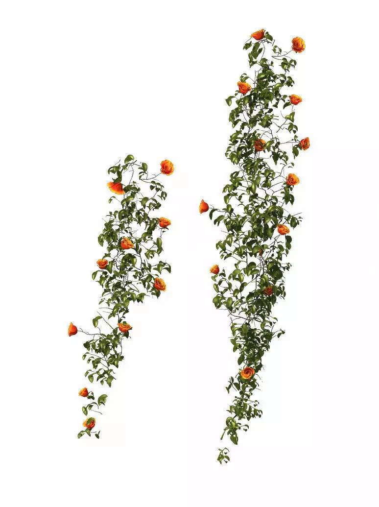 Plant - vines 01 3D model