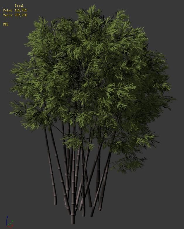 Plant - Bamboo 032 3D model_5