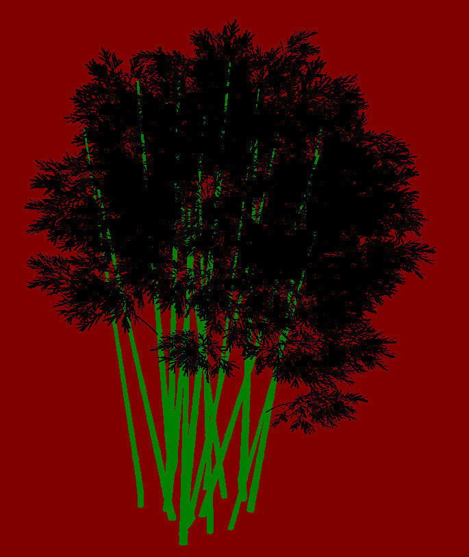 Plant - Bamboo 032 3D model_3