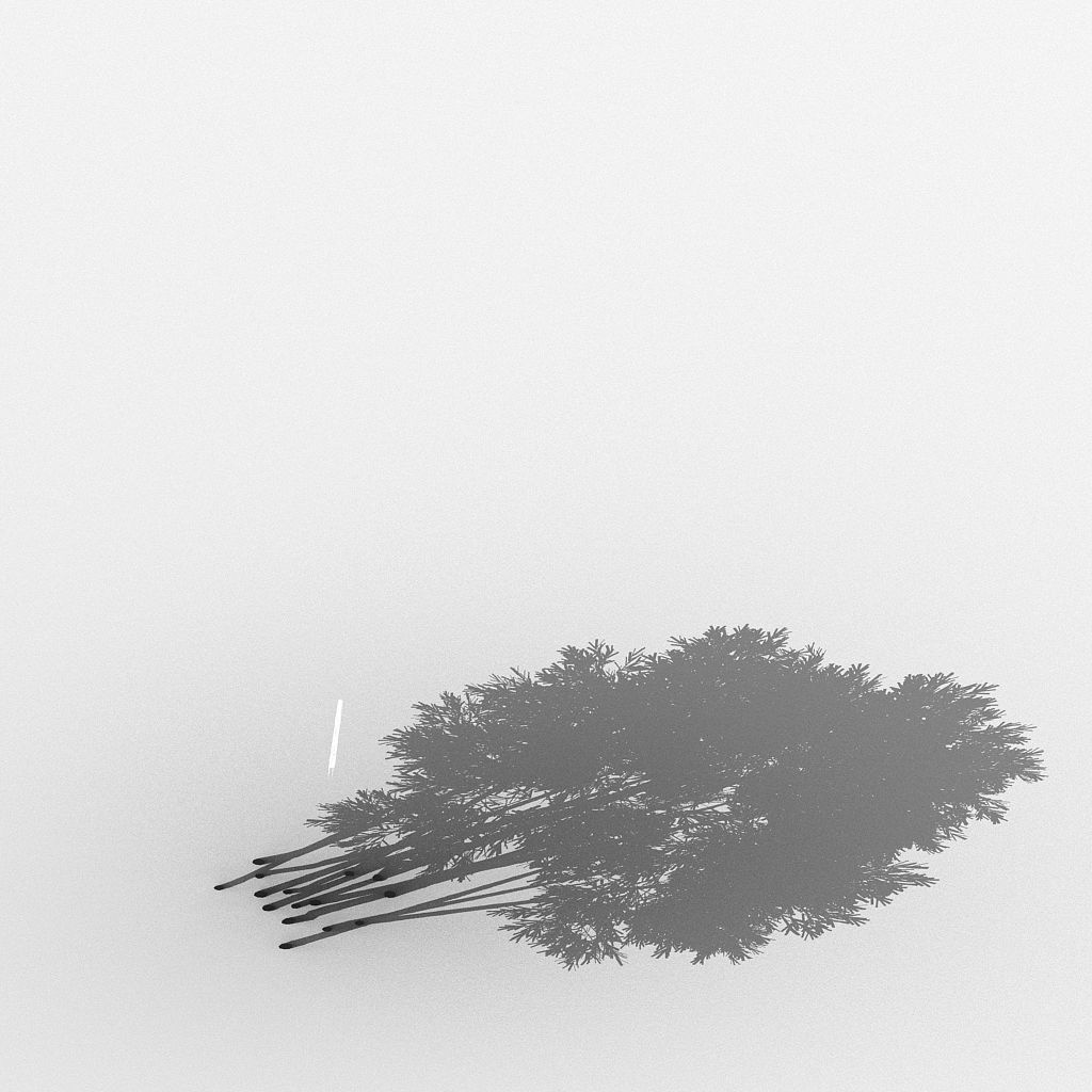 Plant - Bamboo 032 3D model_4