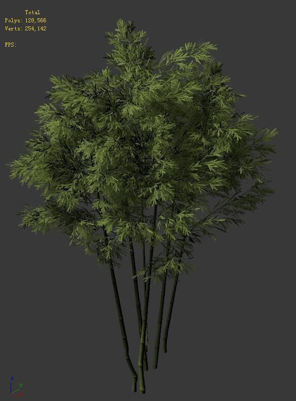 Plant - Bamboo 034 3D model_5