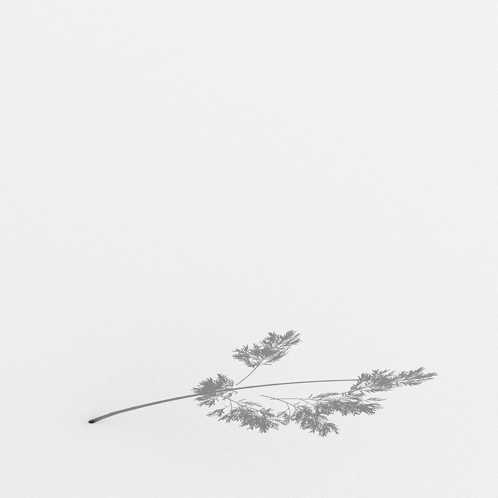 Plant - Bamboo 036 3D model_4