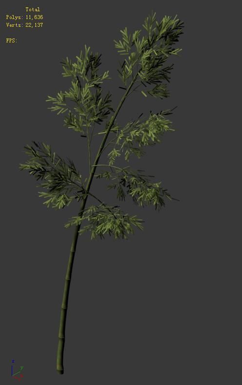 Plant - Bamboo 036 3D model_5