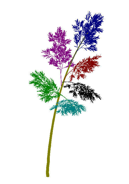 Plant - Bamboo 036 3D model_3