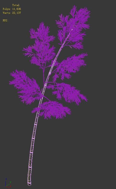 Plant - Bamboo 036 3D model_6
