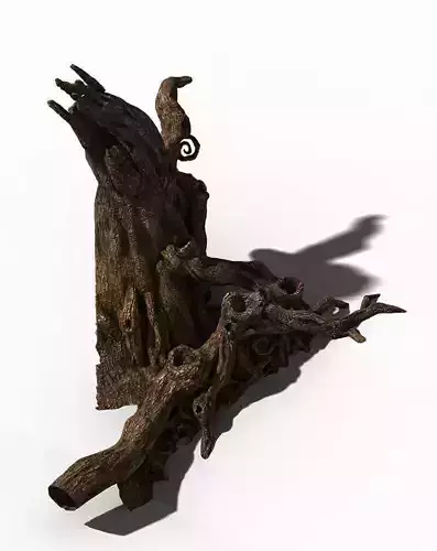 Zhongnanshan - beautiful personality tree root 01