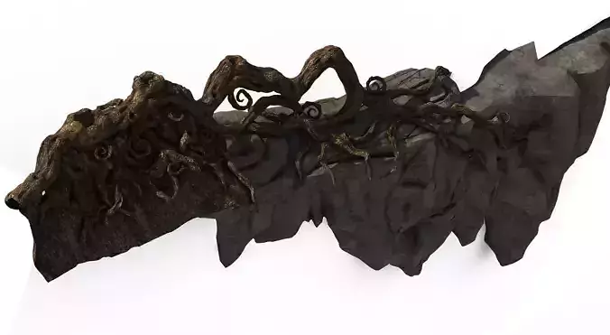 Zhongnanshan - beautiful personality tree root 03