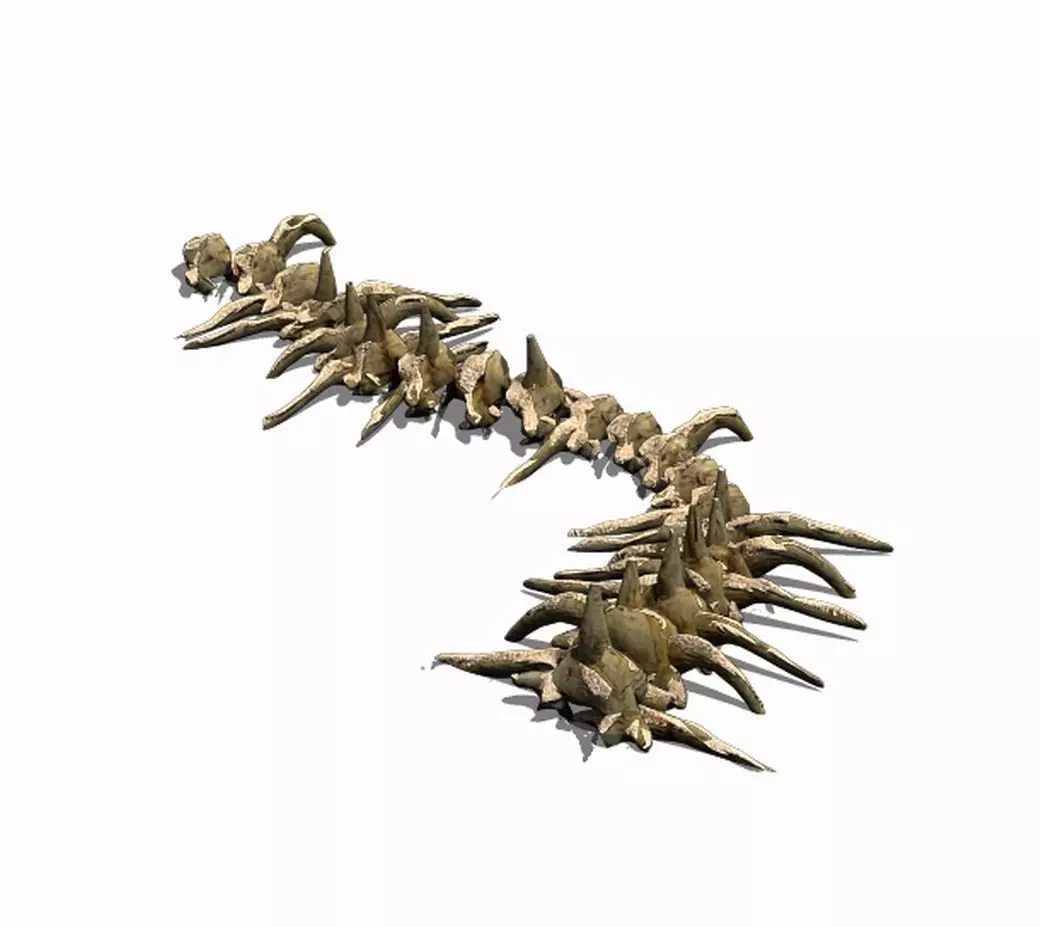 Desert - Bone Fossil 02 3D model_0