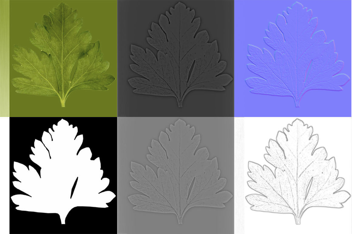 Celery parsley stem Low-poly 3D model_2