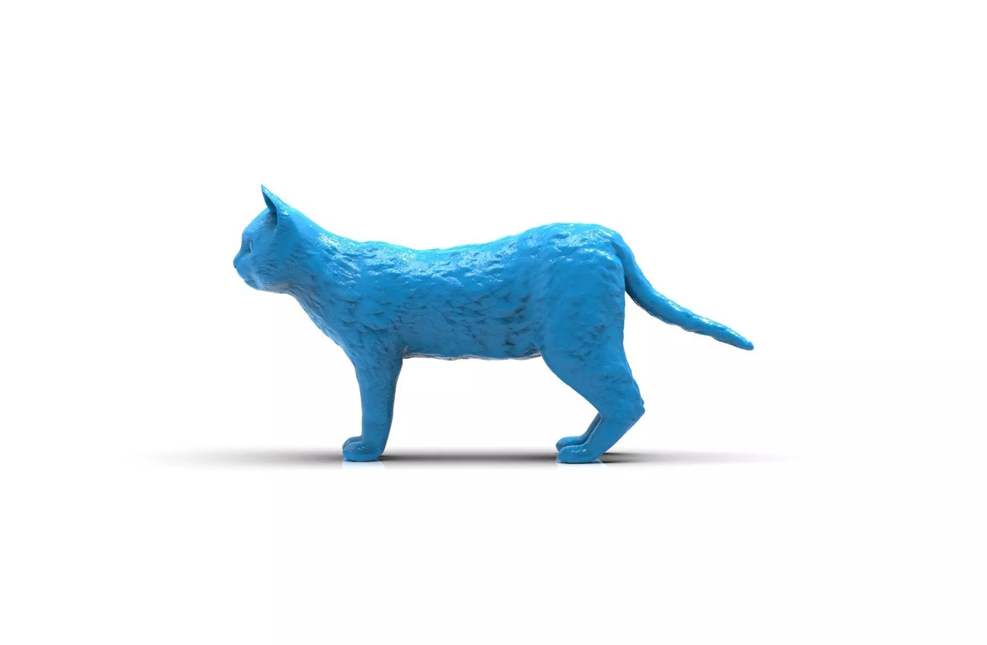 Realistic cat 3D print model