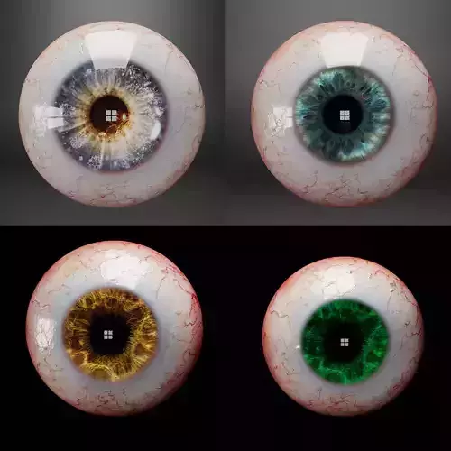 Realistic eyes colloection 3D Model Collection