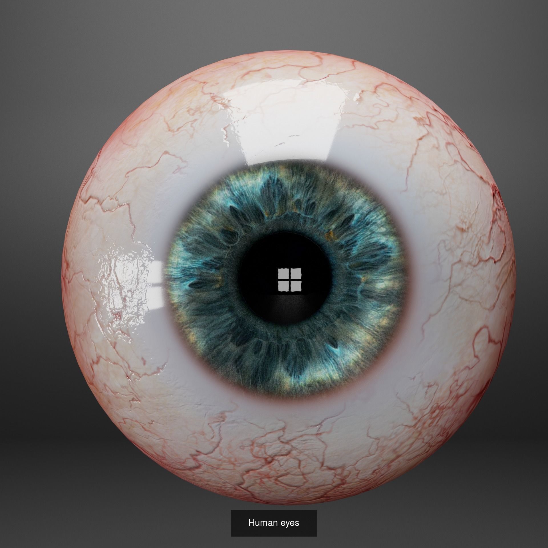 Realistic eyes colloection 3D Model Collection_6