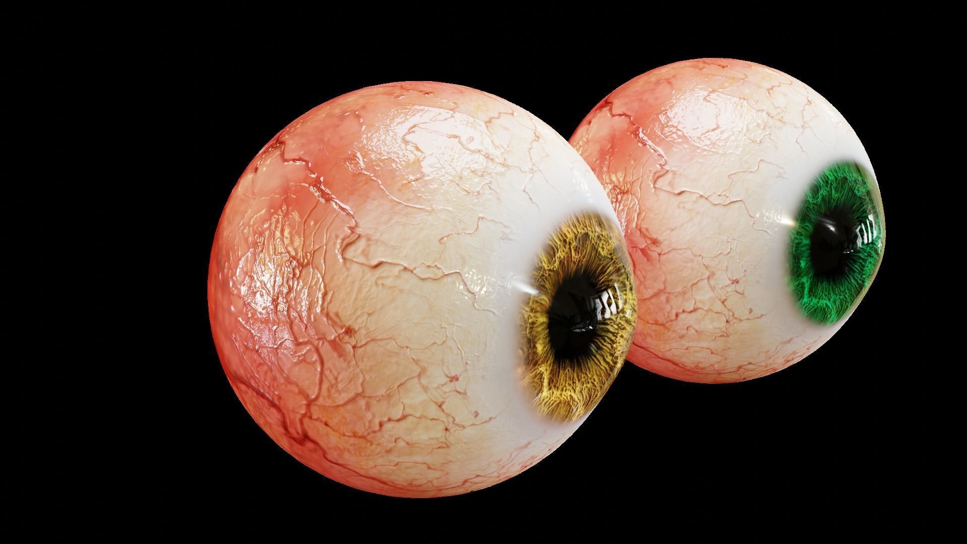 Realistic eyes colloection 3D Model Collection_9