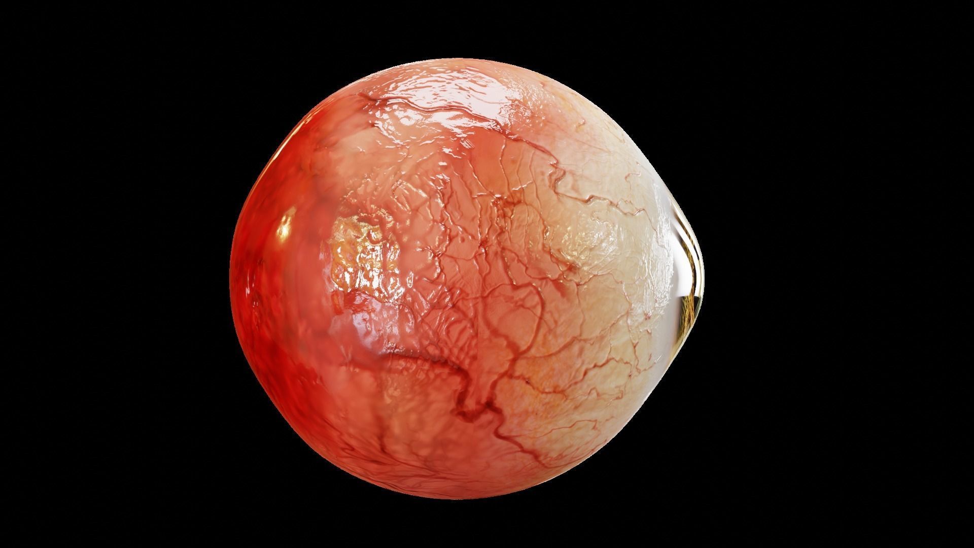 Realistic eyes colloection 3D Model Collection_10