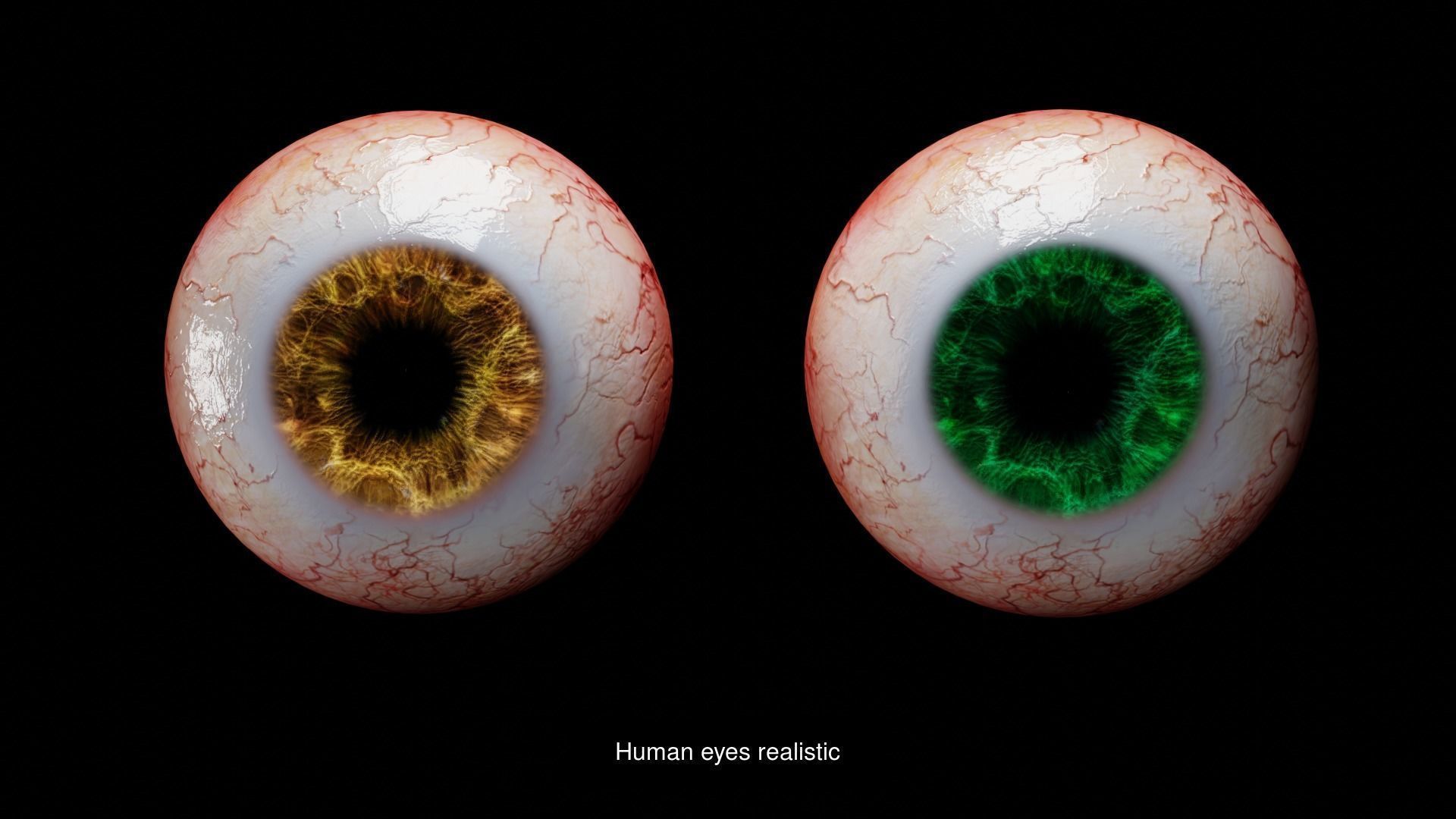 Realistic eyes colloection 3D Model Collection_7