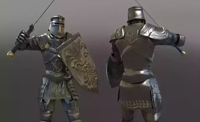 Knight two knights in armor